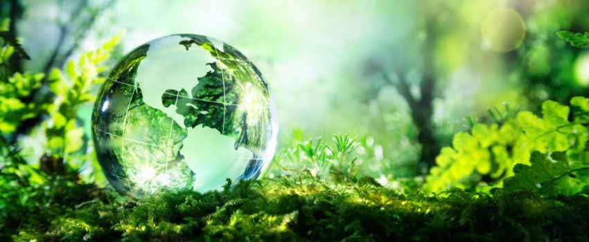 Imagem ilustrativa direito ambiental